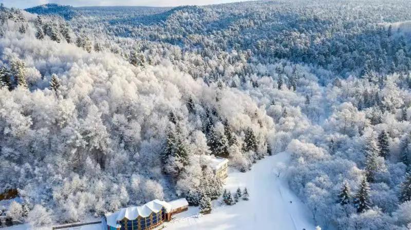 森林|森林、火山、雾凇、奇石 ——这条冰雪旅游线路很特别