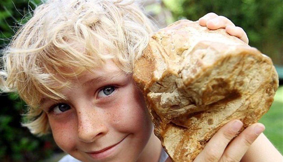 24���������ŵ���ʵ���ȵ�Ӱ�����˷�����˼