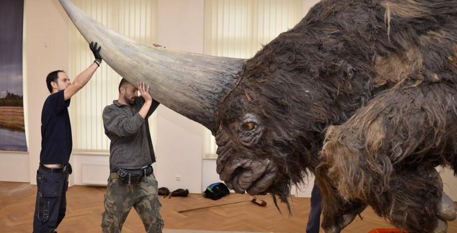 24���������ŵ���ʵ���ȵ�Ӱ�����˷�����˼