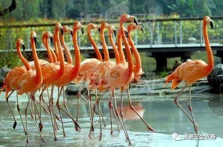 湖北省旅游景点排行_湖北旅游传播指数2021年12月榜:省博物馆登顶热门景区