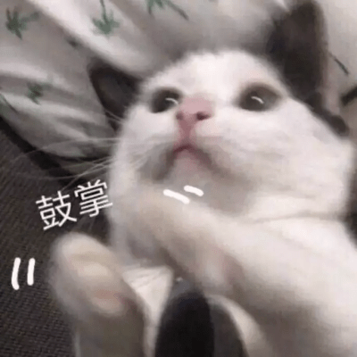 吸附力谁说“深层”都是伪概念？别再对清洁泥膜有误解啦~