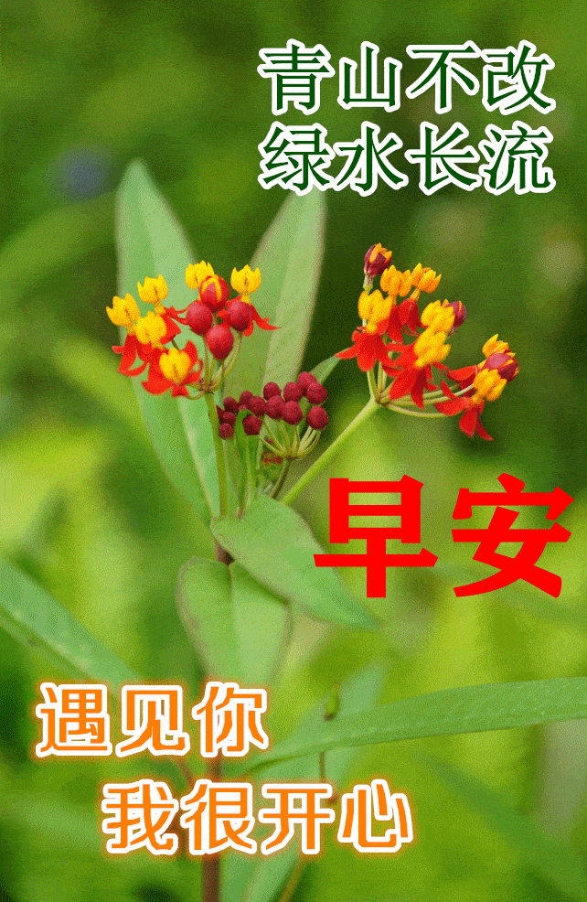 原创2021最新版大家早晨好问候动态表情图片漂亮早晨好祝福动态表情