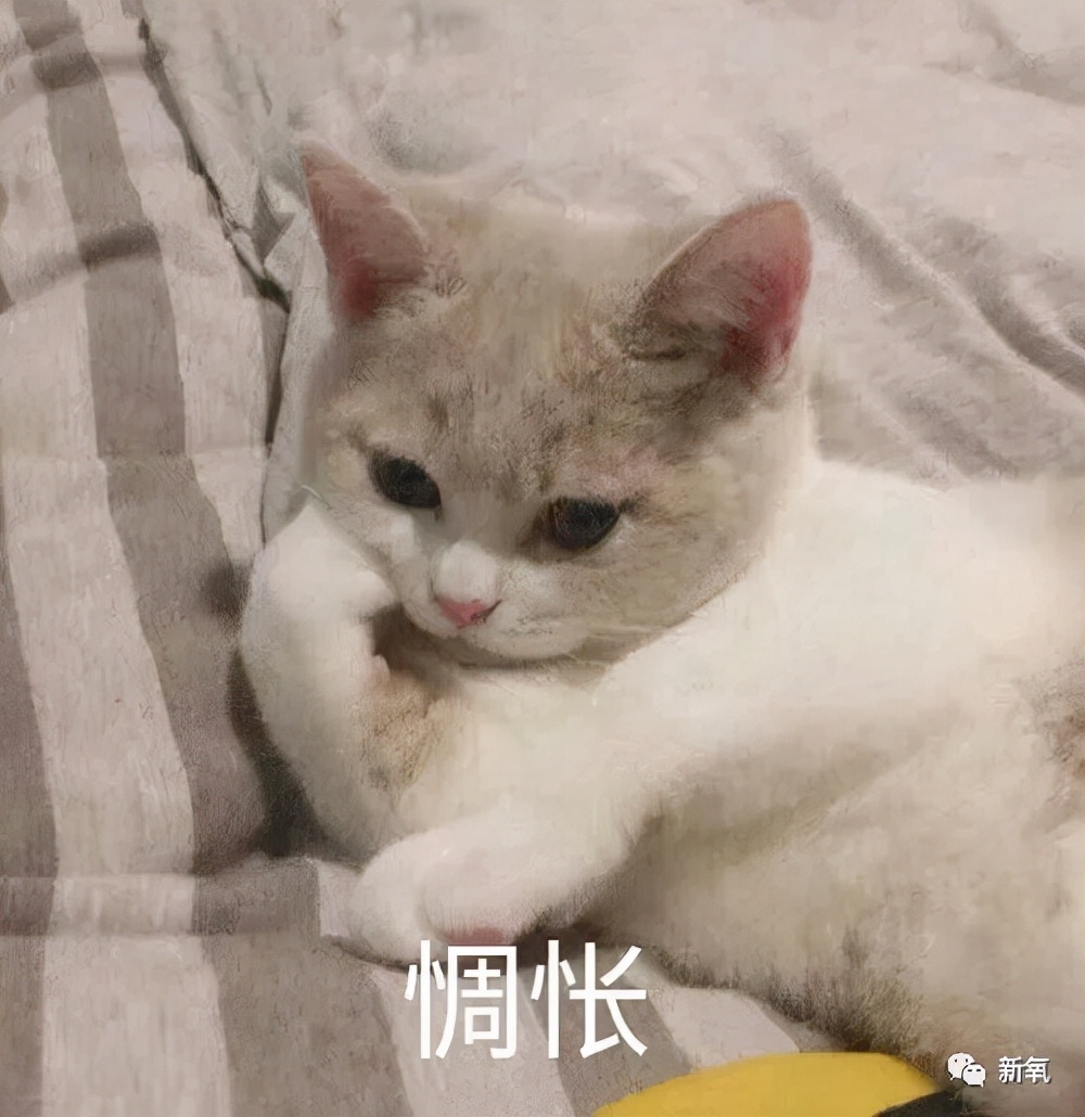 预算预算不过万，我是怎么送粉丝出道的？