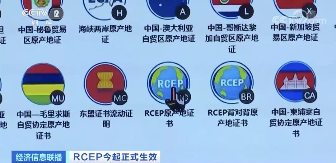 rcep正式生效来看看有哪些重大利好