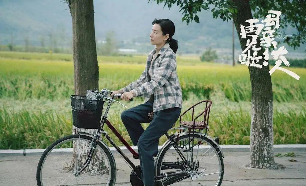 国产|2021年豆瓣8分以上的十部国产好剧，《山海情》仅排第二