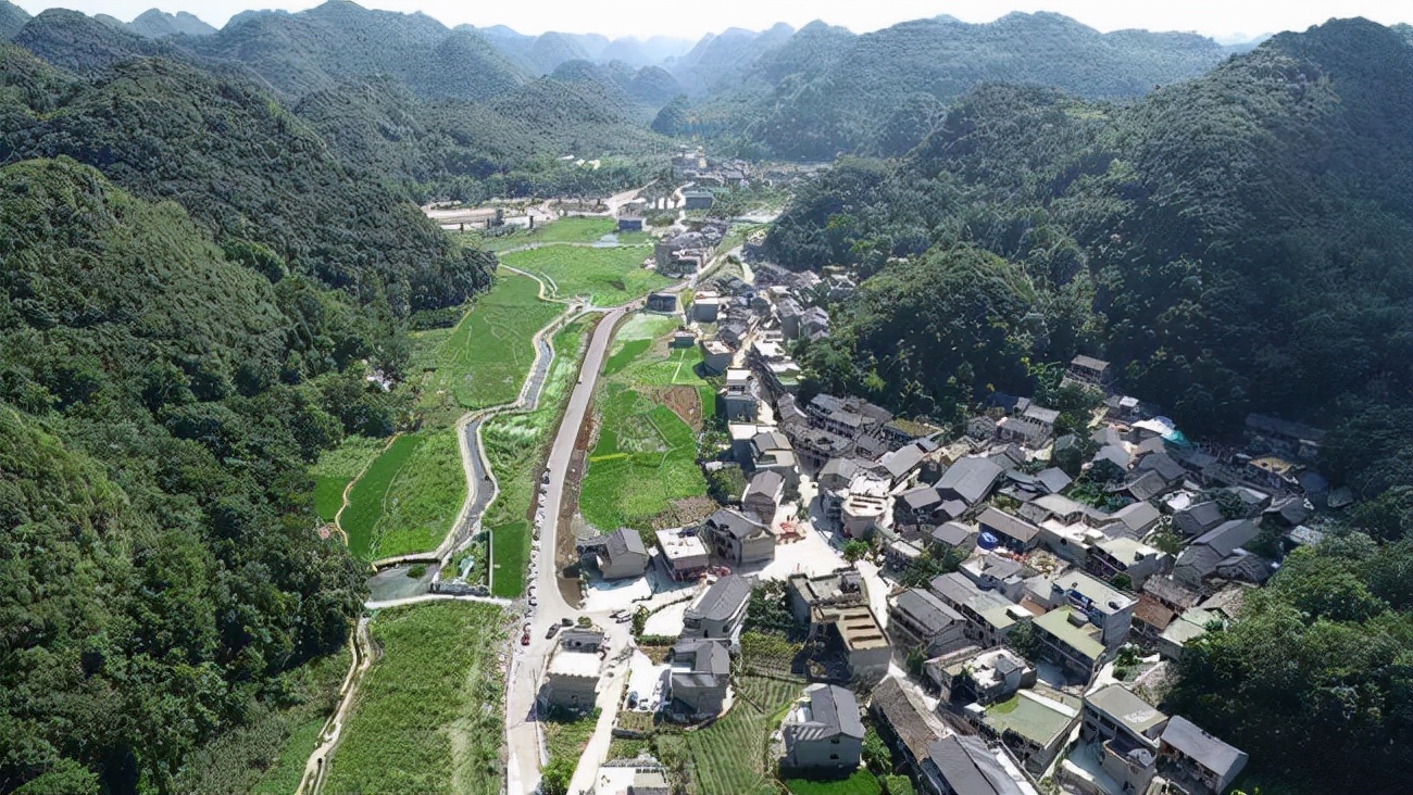 辛巴辛有志助力农产品出圈，阿歪寨村：田野激荡乡村振兴新动能