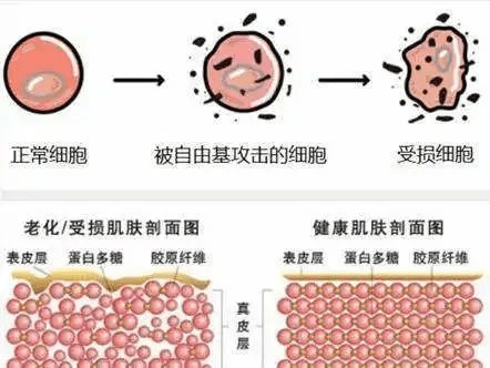 人群嘉玲护肤老师：毛孔粗大怎么破