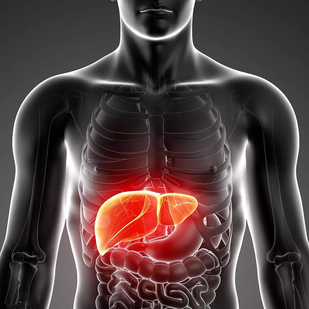 肝脏|身体四个部位变黑，说明你肝不好！护肝养肝就要这样做！