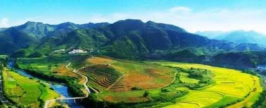广西百色的一个县，号称“广西西大门”，为“中国砂糖桔之乡”