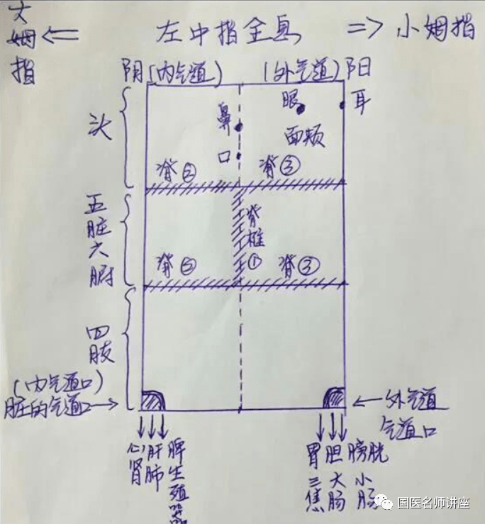 阴阳气道口位置图片