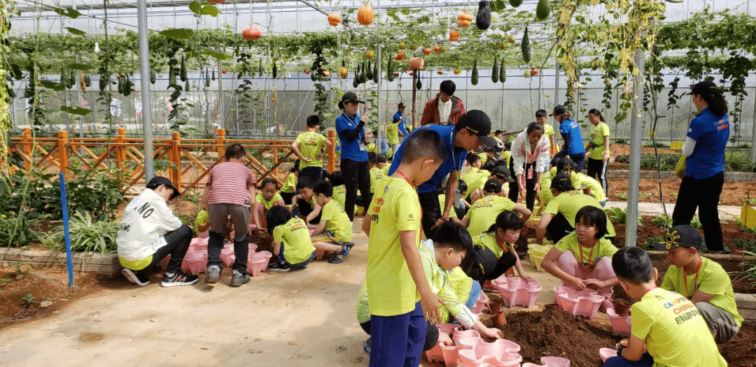 教育|【国家AAA级景区】腾冲鑫和园景区