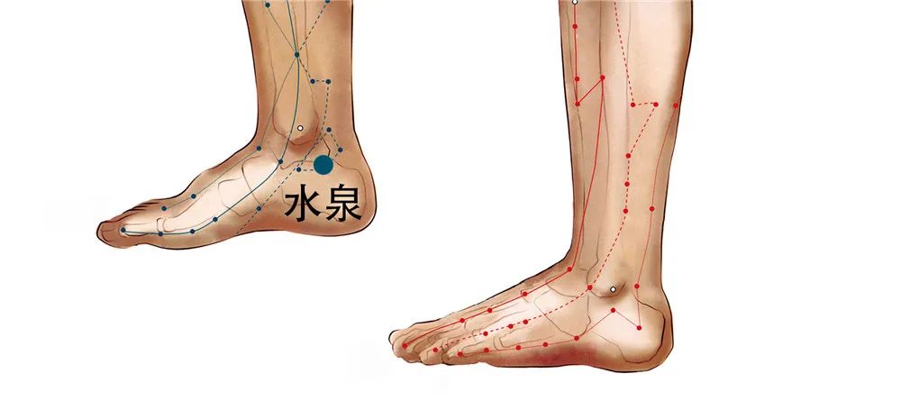 试试这3个方法,坚持做缓解疼痛,一身轻松._水泉_脚跟_米醋