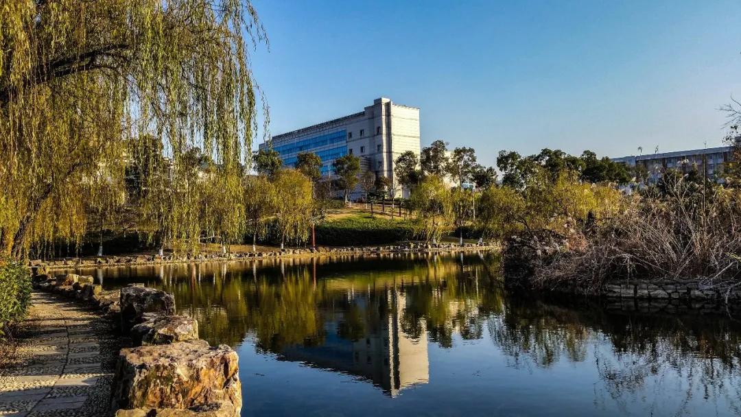 泰州大学 来自搜狐网