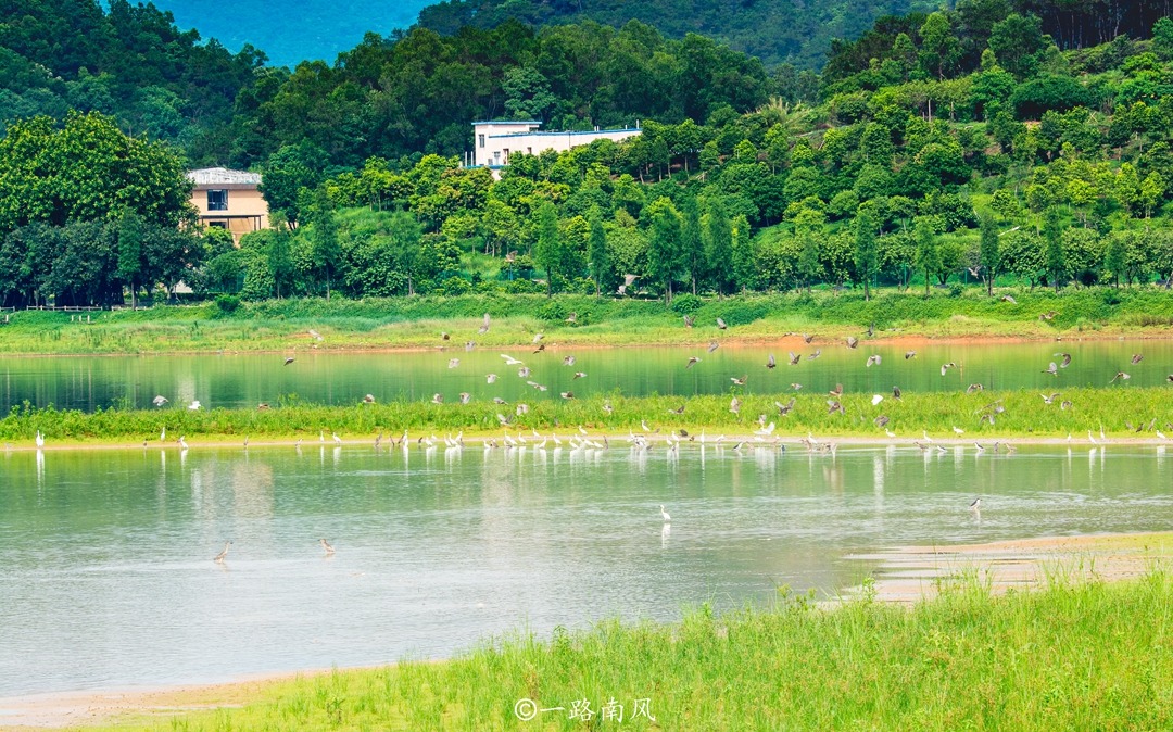 纳西|高明，佛山没有存在感的区，这座人造小镇风景美，仿佛穿越到欧洲