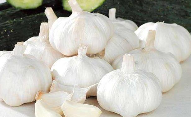 现在可以种大蒜了吧 390b18c391214055ac7fc02733cf9f68.jpeg