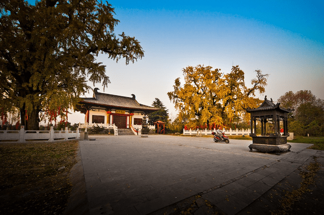 原创南京有一皇家寺庙因朱元璋到此而改名还藏了三棵千年古银杏