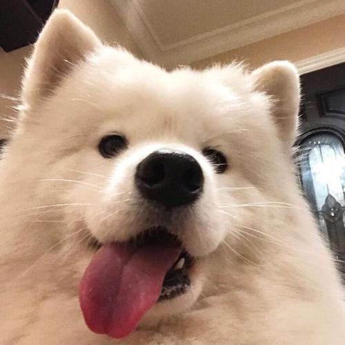 年底了,但愿你能明白,人生无常