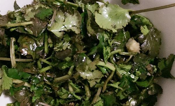 为什么有人不爱吃香菜是好是坏 cc9089556dde4dc784075c7d9c7e2b00.jpeg