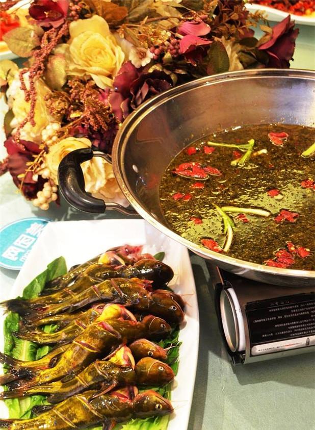 鱼多久能消化食物 120e2a0ae3d3417e8ec8dab39b8dccf4.jpeg