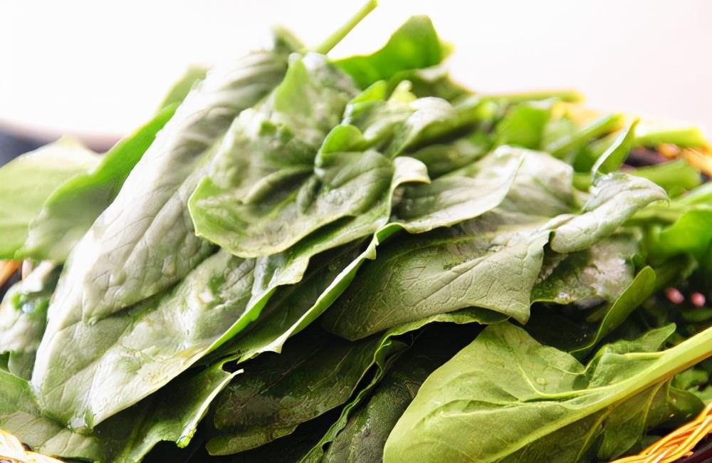 菠菜配什么样菜才有营养 173abd2fddc942d1958e7e04b254703a.jpeg