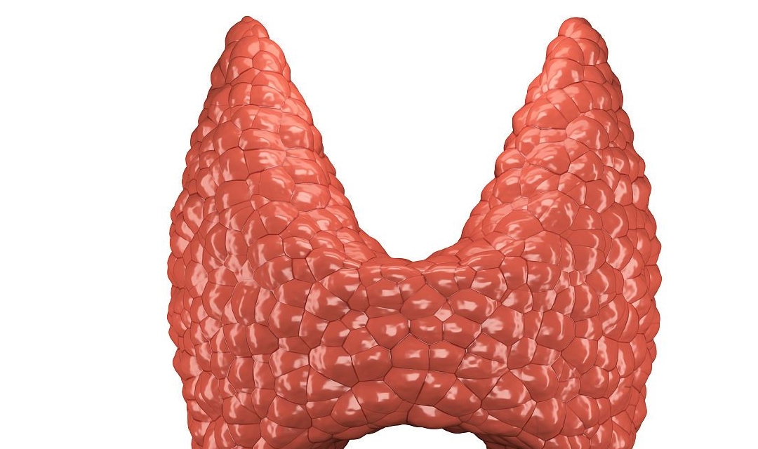 治疗|健康提示：正确认识甲状腺囊肿，其实它并没有你想的那么可怕！