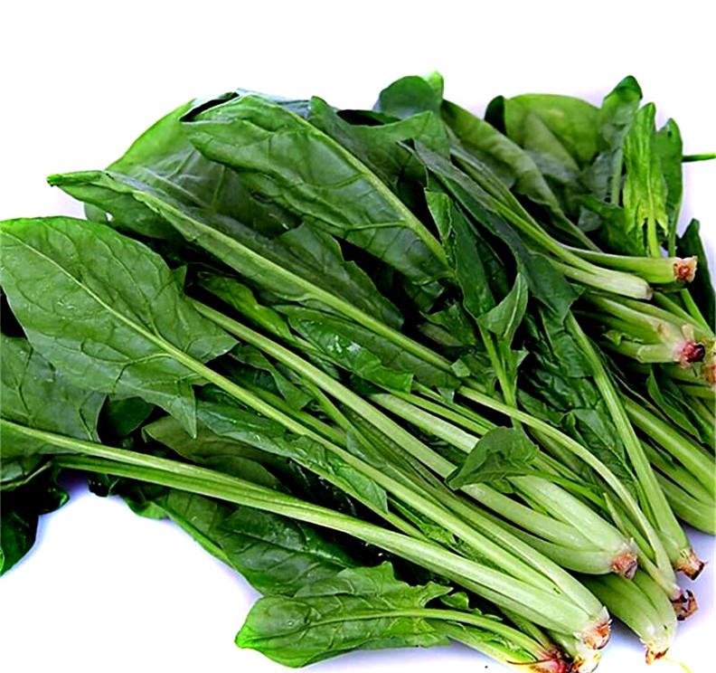 菠菜是什么季节都能种吗 b0a6ca8f634a4b37944b6cd056f2c08c.jpeg