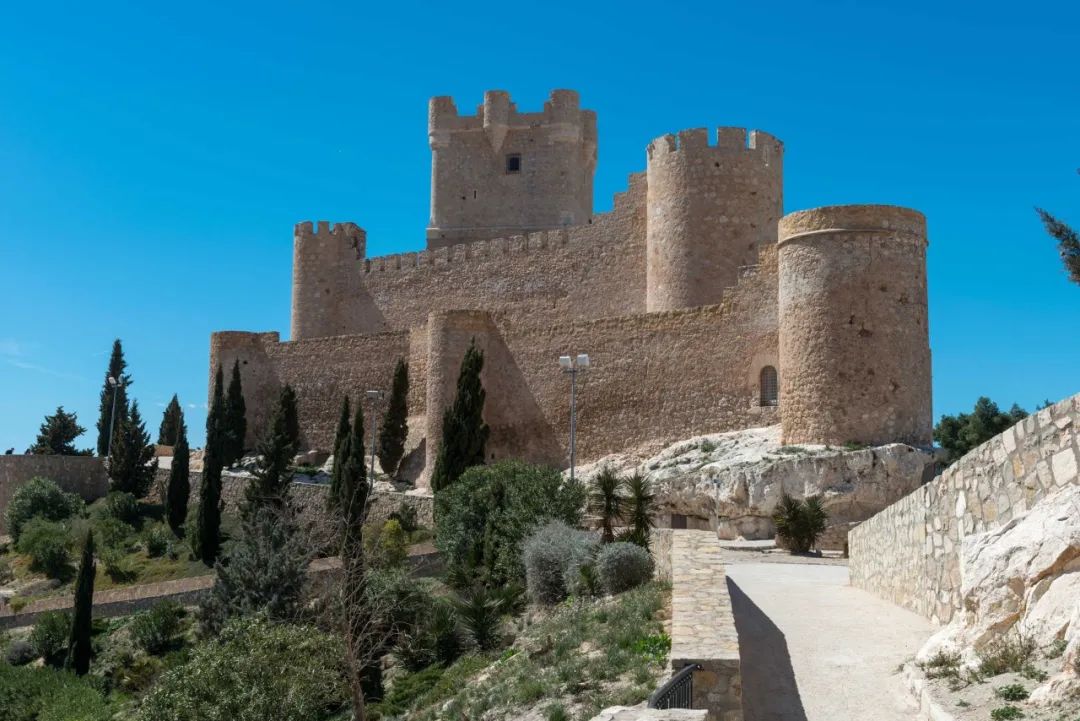 你可以不知道西西里亚狼王但是西班牙阿利坎特你必须要知道