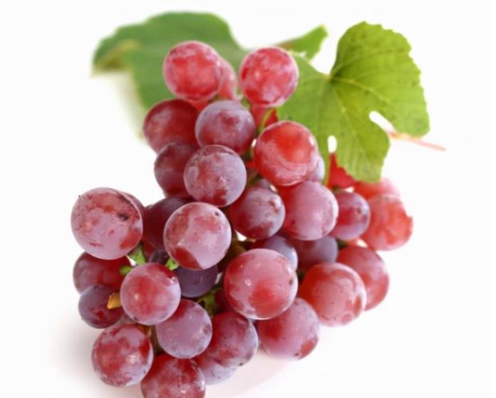 提子和柿子怎么吃