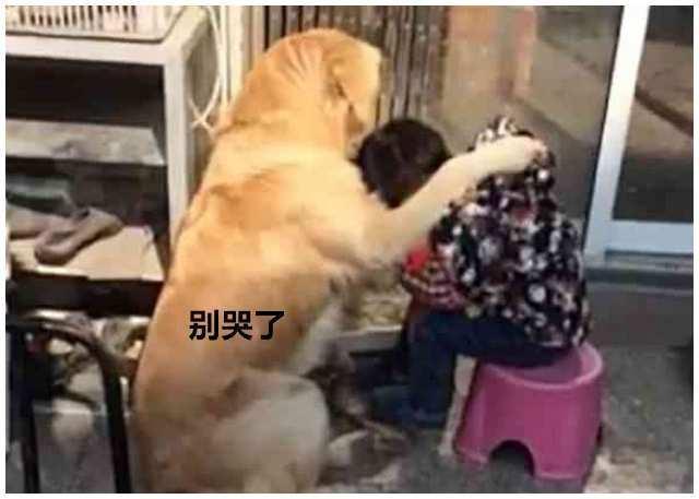 5bf6a26d72f448219a408ffdac5d9b68.jpeg