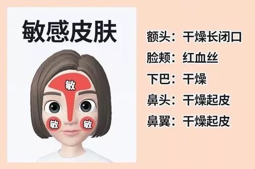 什么新手应该如何护肤？了解自己是什么肤质很重要！