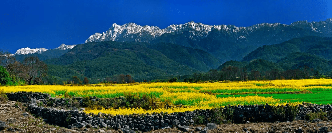 森林|探秘高黎贡山