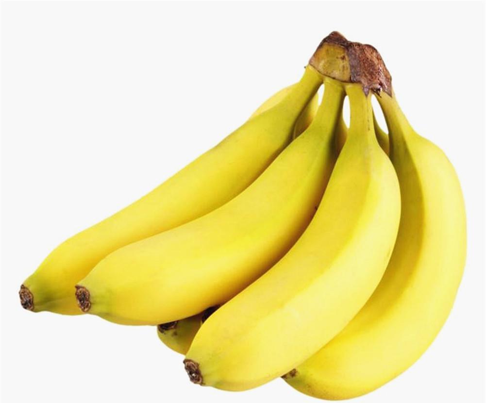 香蕉是什么繁殖 香蕉是怎样生长出来的