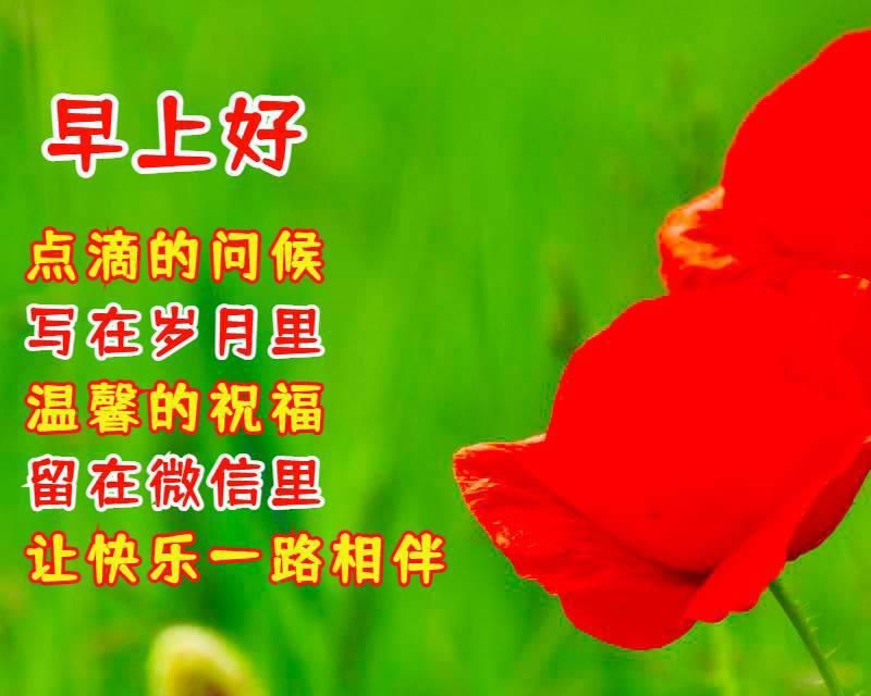 858601273b704ba1a9951c637d6d7f5e.jpeg