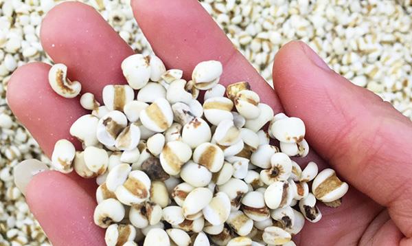 吃什么食物有利于降尿酸 94989f4318f8406baff984c76a05fbce.jpeg