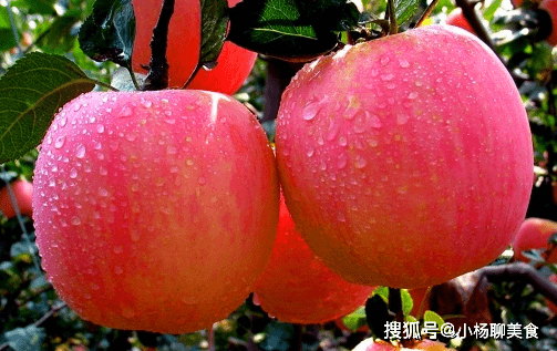 e0f6da947a7445f1969c9e13a85feeae.png
