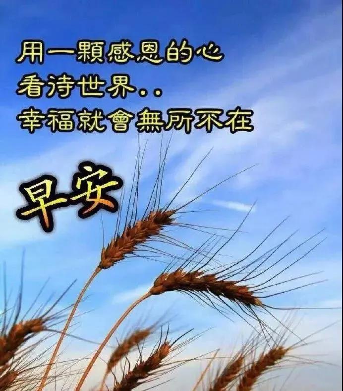 27156adc16114b23b57aa9568bca7624.jpeg