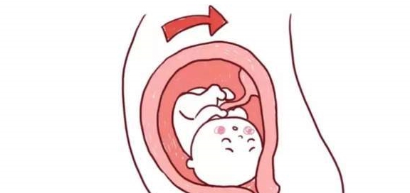 怎么才能不做梦好好睡一觉 995bcf0002ef4bea864ed6e0410c7dae.jpeg