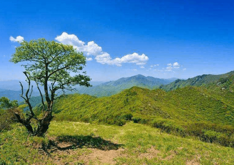 终南山房价飙升，导致5万居士消失，这些居士究竟是什么人？