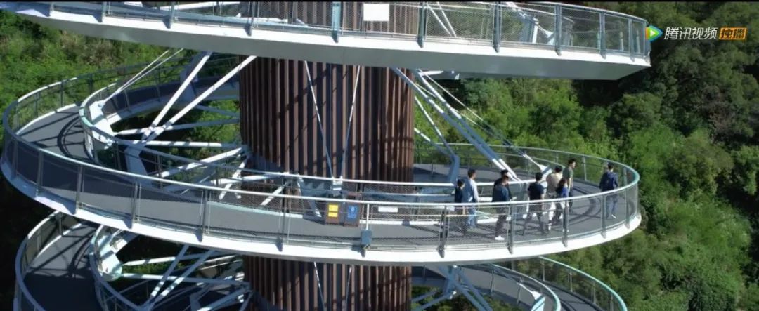 时间|正午新剧：陷入时间循环里的“开端”