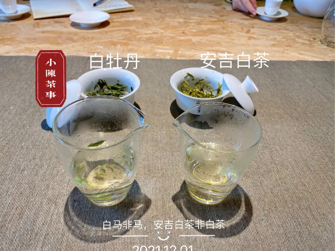 原料|白茶是什么,难道就是白色的茶叶吗?白茶国标给出了明确答案