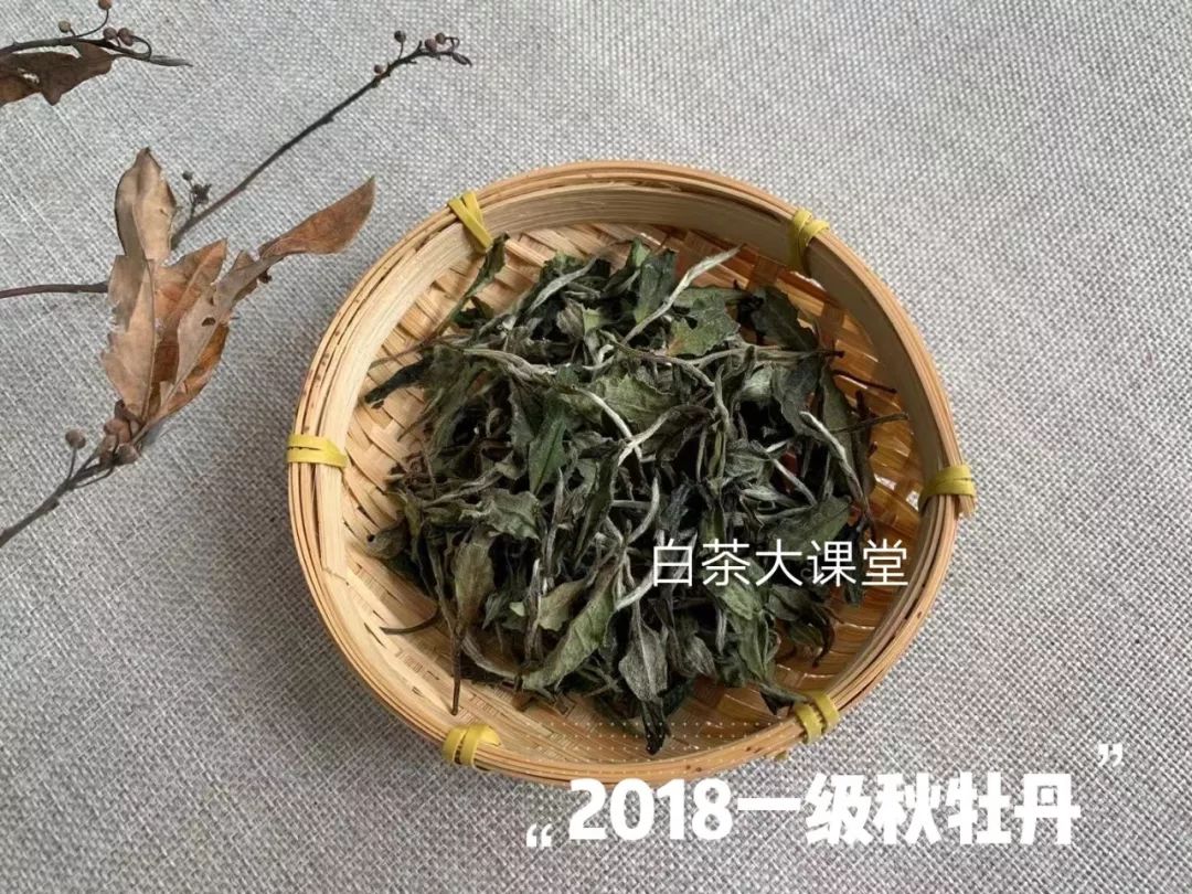 原料|白茶是什么,难道就是白色的茶叶吗?白茶国标给出了明确答案