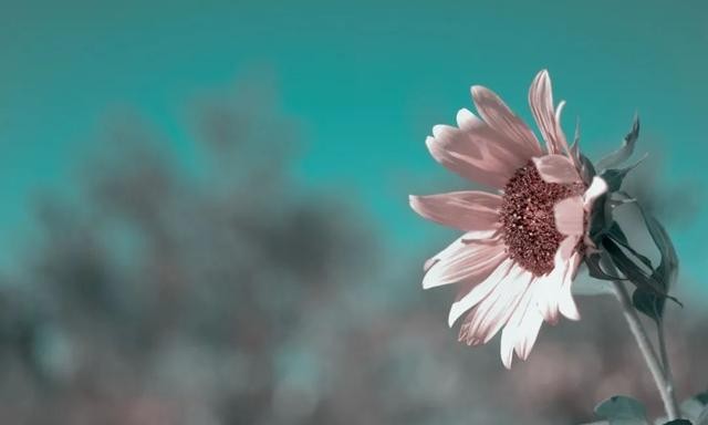 4e13cc373f8b400d955b46f6a3e2154a.jpeg