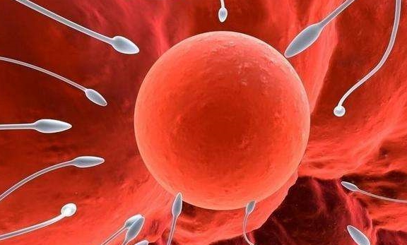 女人怎么保养卵巢延缓衰老动作 0c653da6e0ff4645be1b3e50ceb86844.jpeg