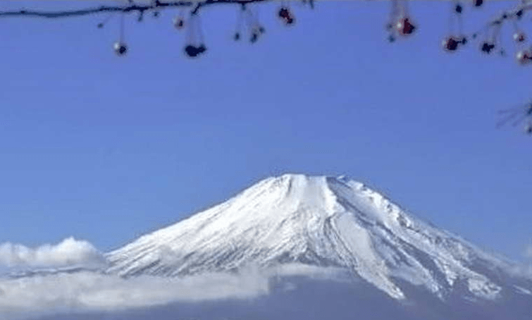 富士山不是日本的，每年日本需要交天价租金
