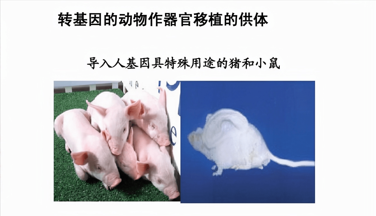 834749fbd52a4432aa3a34ad806500e4.png
