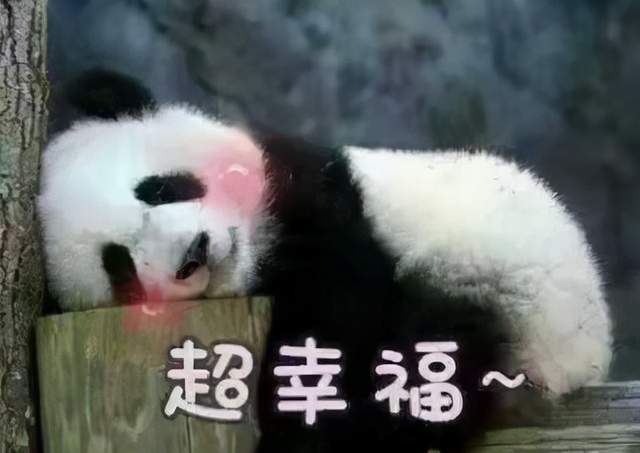 人体|每逢春节胖三斤,早餐吃一个苹果想减肥?真相扎心了