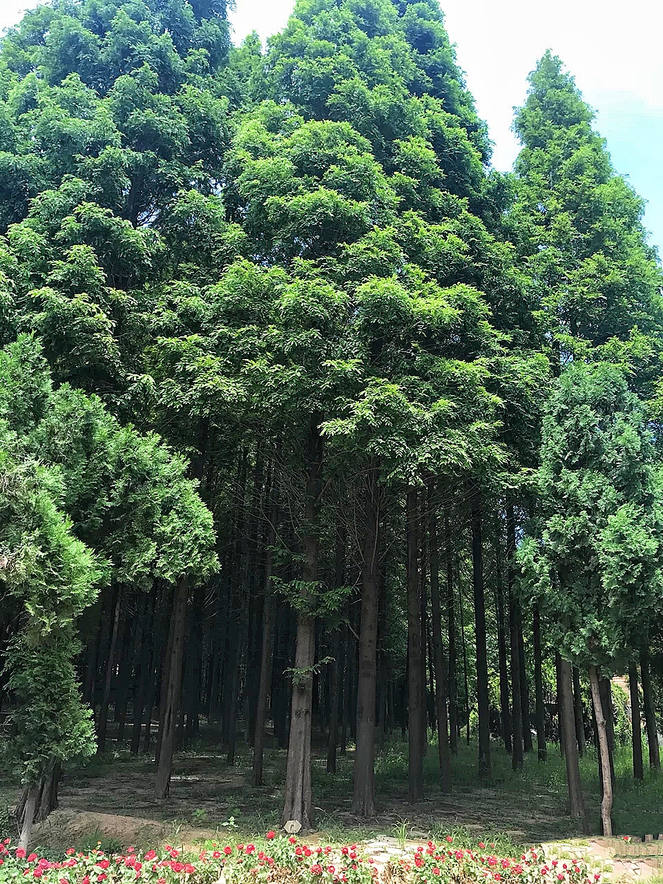 日照吃海鲜玩景点，应怎样选择？我来告诉你