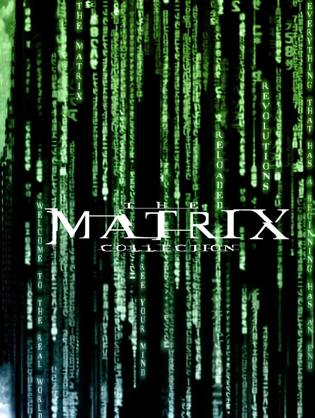 matrix是什么意思