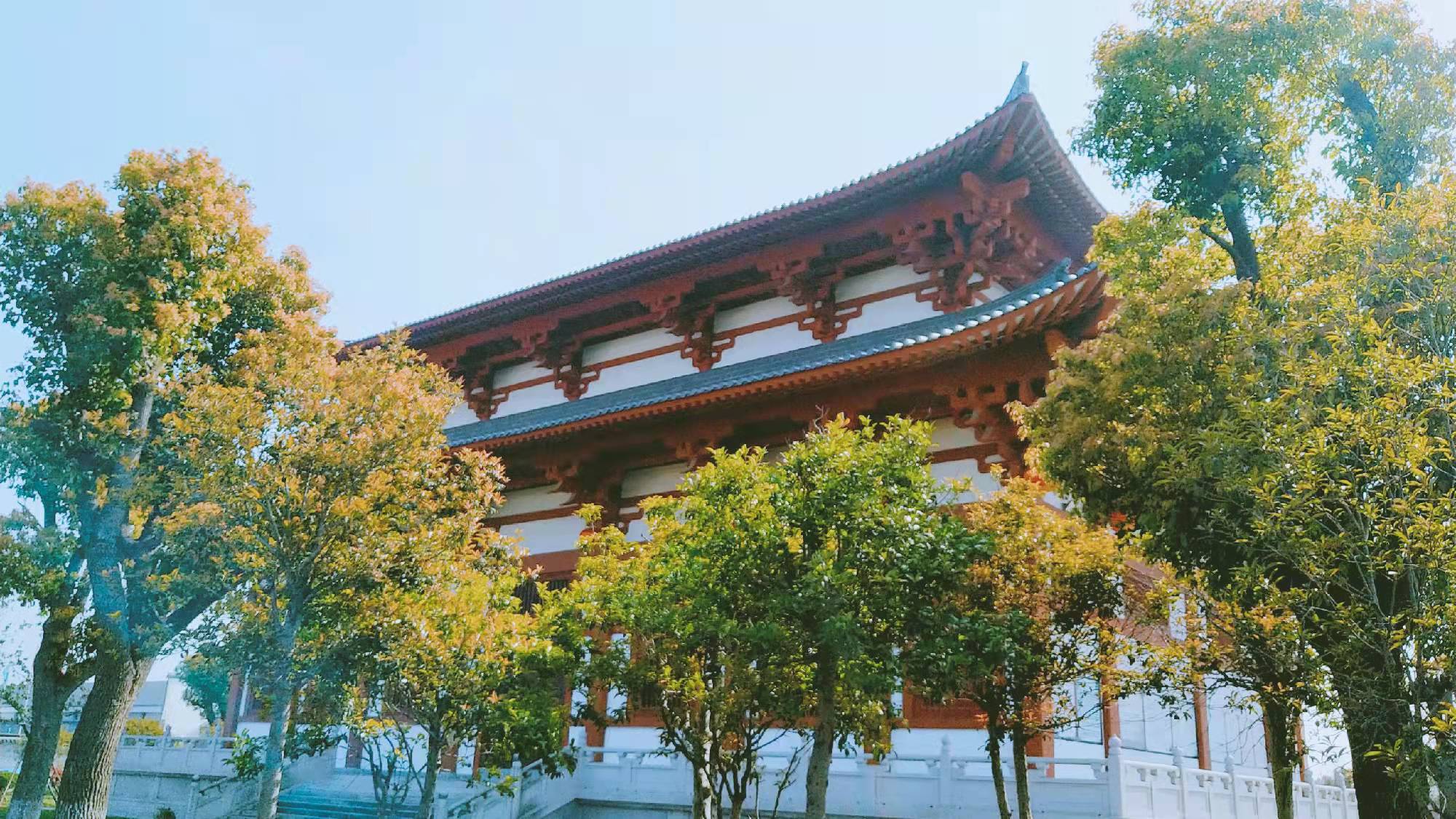 普光禅寺图片