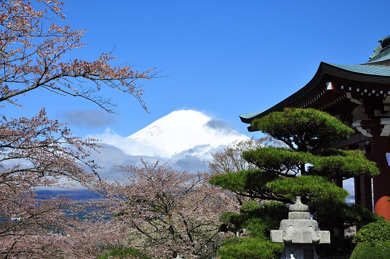 各大平台都在直播富士山，怕错过什么？